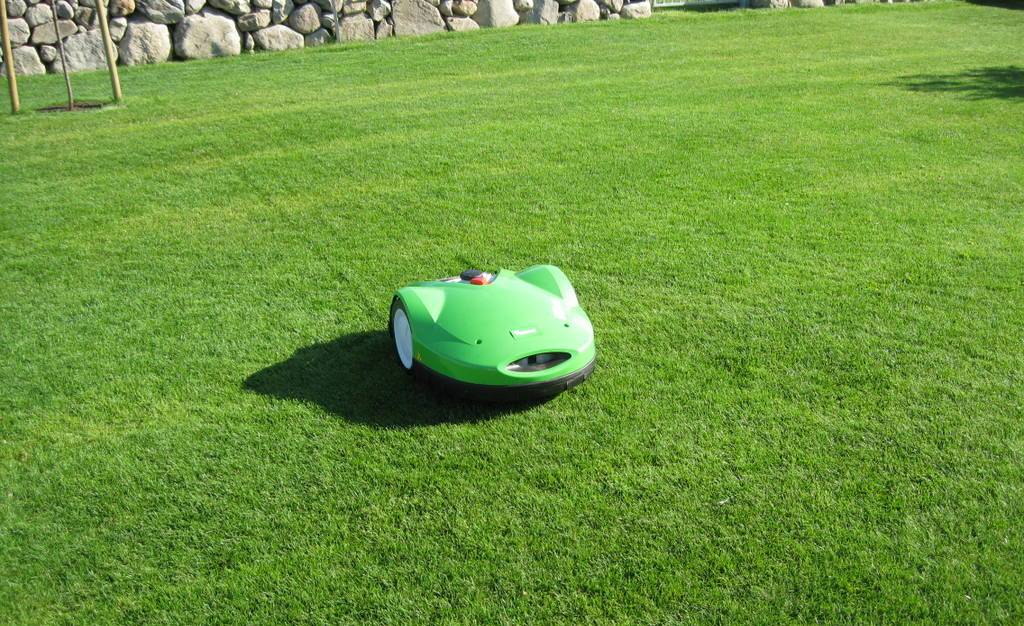  I mow